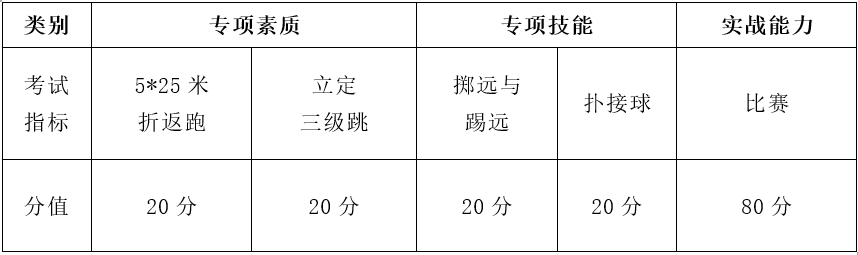 2023年湖南工艺美术职业学院单招考试大纲